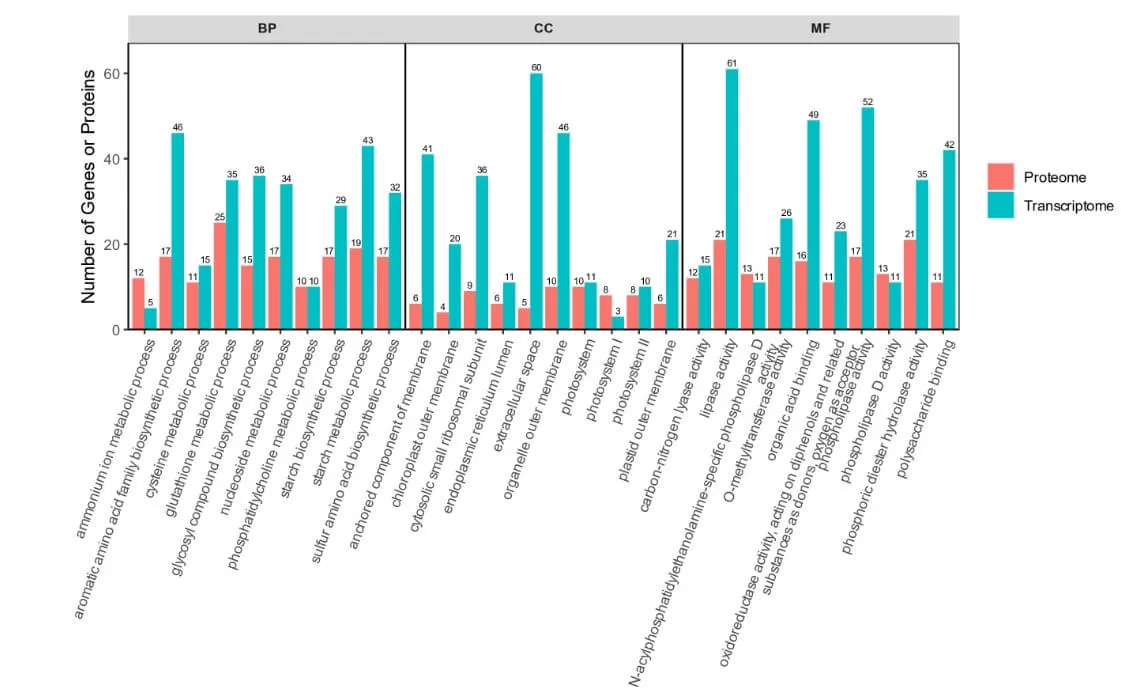 figure 4. GOKEGG enrichment analysis plot